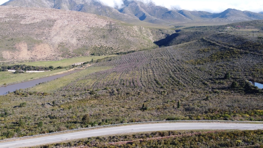 0 Bedroom Property for Sale in Joubertina Eastern Cape